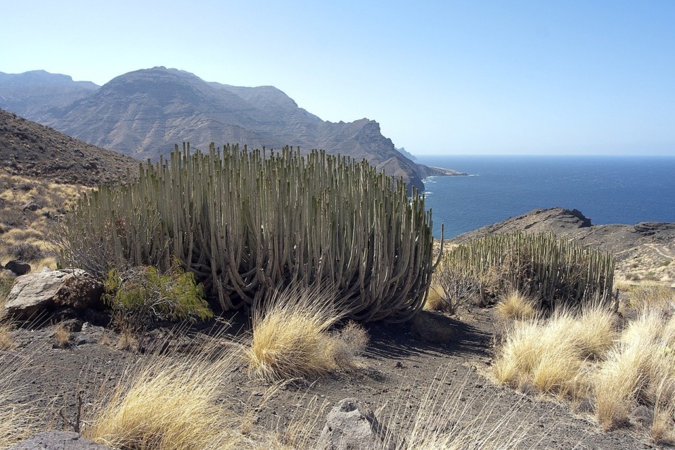 kanarski-otoki-gran-kanaria - NaDlani.si Kanarski otoki Gran Canaria