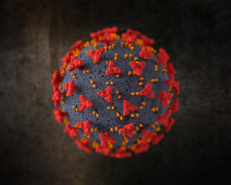 delta-virus - NaDlani.si Delta virus