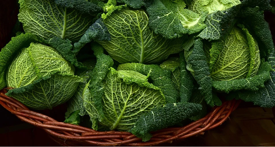 Vitamin K je skupaj z A, D in E popolnoma topen v maščobah
