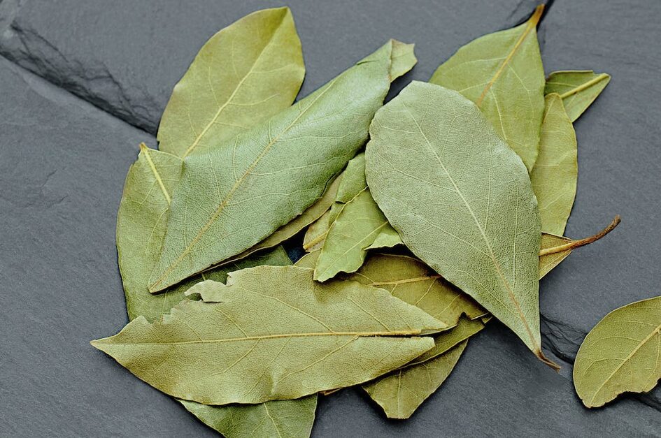 lovorjev-sirup-lovor - NaDlani.si Lovor vsebuje antioksidante in antibakterijske snovi, bogat je z vitamini skupine B ter minerali.
