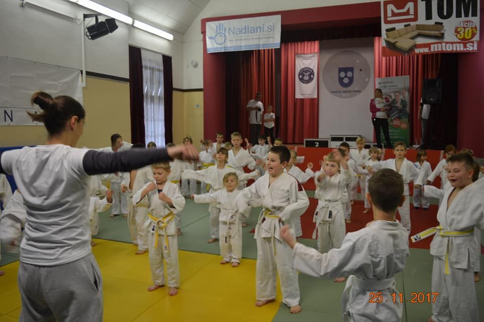 Judo praznik na Mirni