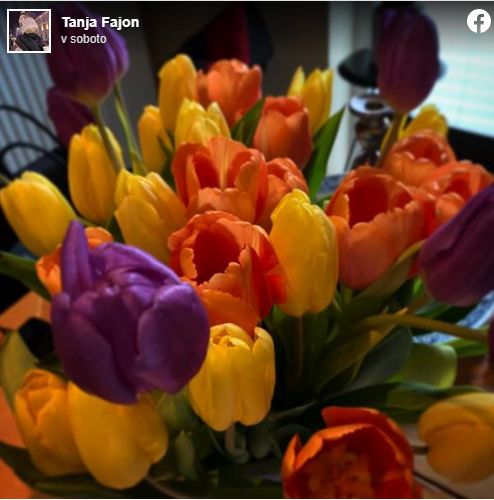 Tanja Fajon žaluje, poslovila se je njena mama