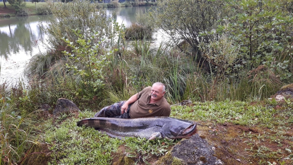 V ribniku Blato je Janez ujel soma kapitalca