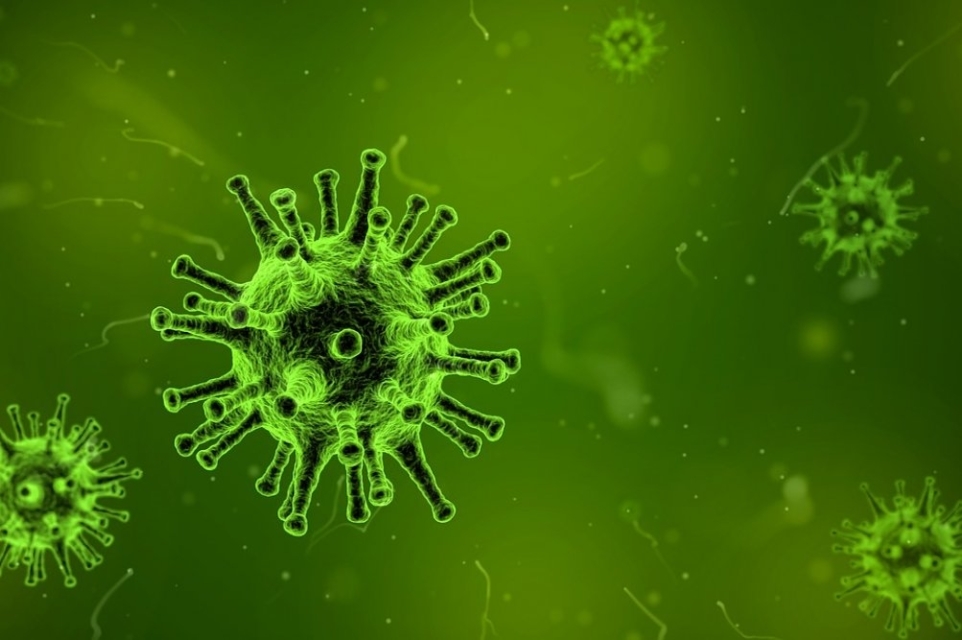 2-virus-2 - NaDlani.si