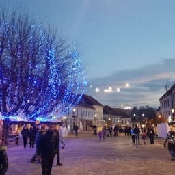 FOTO: Dolenjska ima novega svetovnega rekorderja!