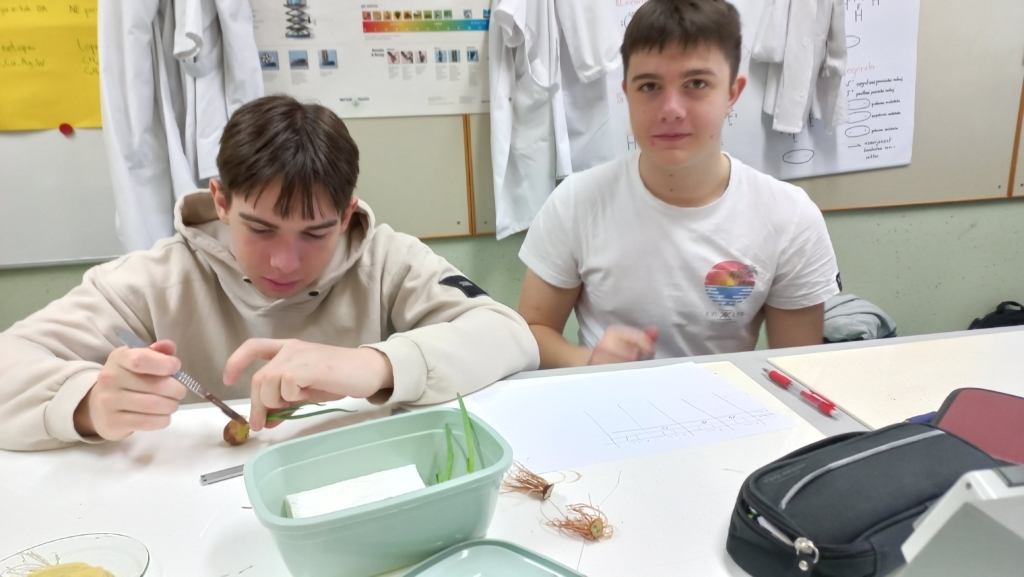 Kemijska analiza vode v Krškem