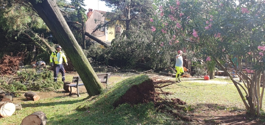 Strašno v hrvaškem letovišču! Kamp uničen, veter podrl 200 dreves