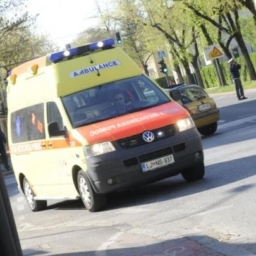 FOTO: Dolenjska ima novega svetovnega rekorderja!