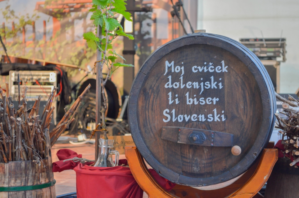Znano je, kdo bo nastopal na Tednu cvička