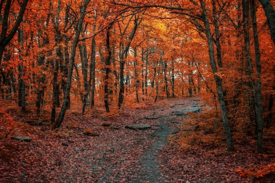Zato je oktober najboljši mesec v letu