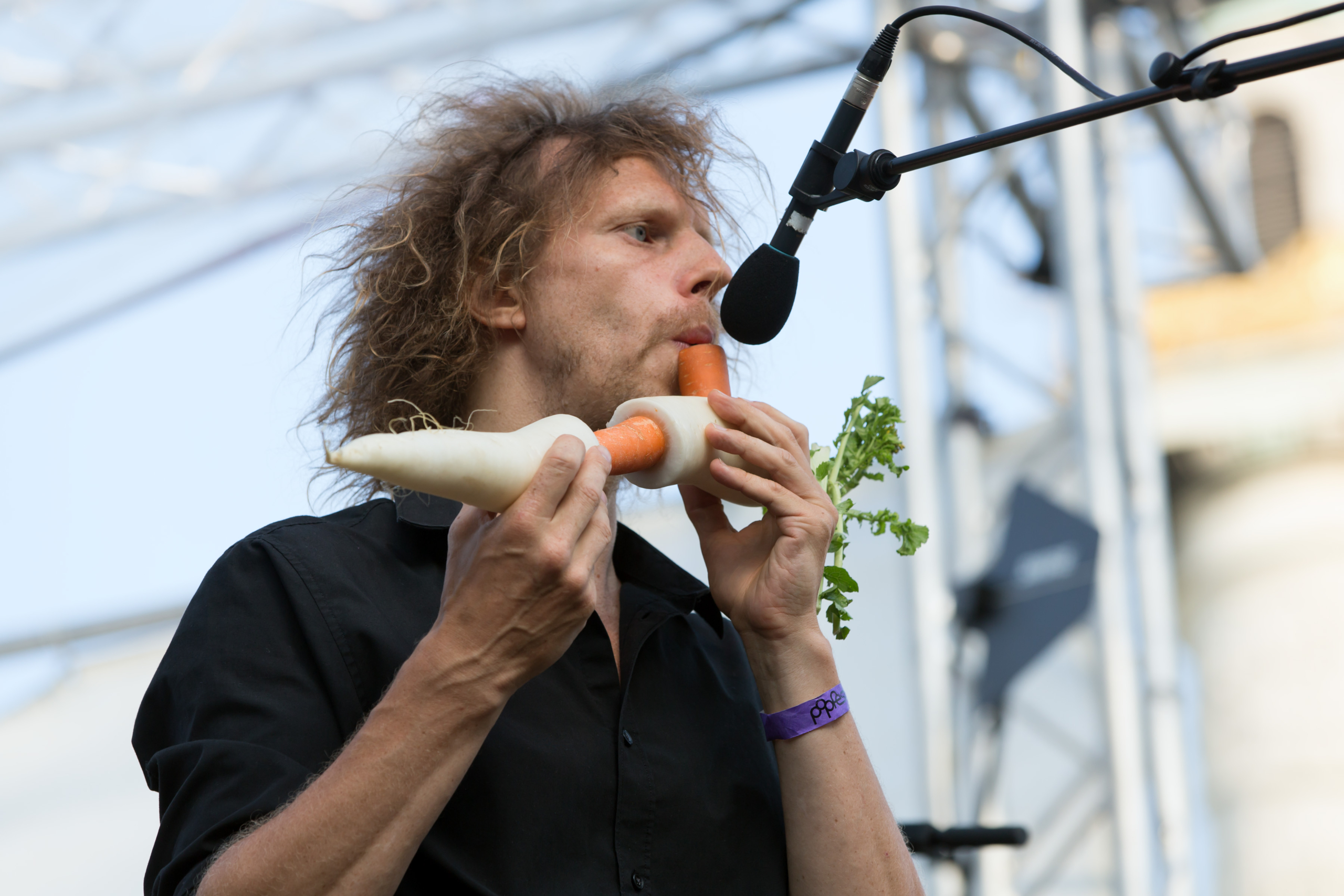 Festival: V pričakovanju Zelenjavnega okrestra (The Vegetable Orchestra) Vir: Manfred Werner, Wikipedia