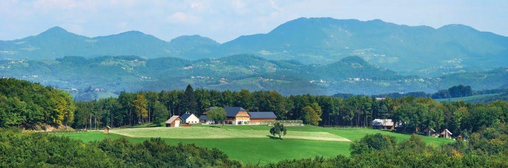 Mamina solata in kmečki pogovori