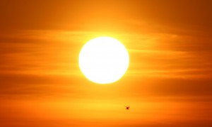 Močan El Niño se hitro krepi: Evropo čaka neznosen avgust, posledice bomo občutili tudi jeseni in pozimi