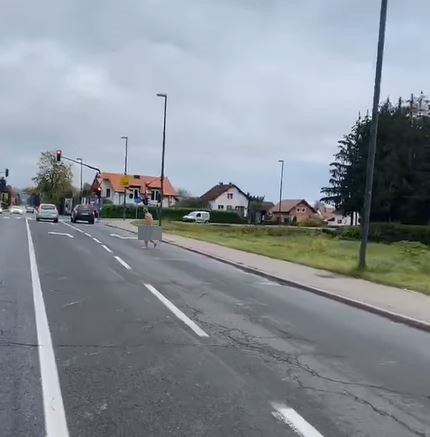 VIDEO: Ste videli te prizore iz ljubljanskih ulic!? Na masko vseeno ni pozabil