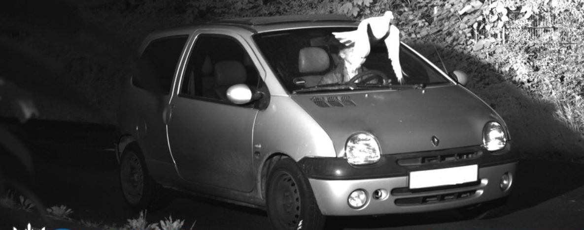FOTO: »Sveti duh« ga je rešil pred kaznijo zaradi prekoračitve hitrosti