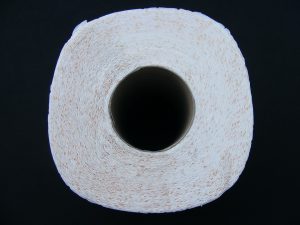 Noro! Tega o toaletnem papirju niste vedeli