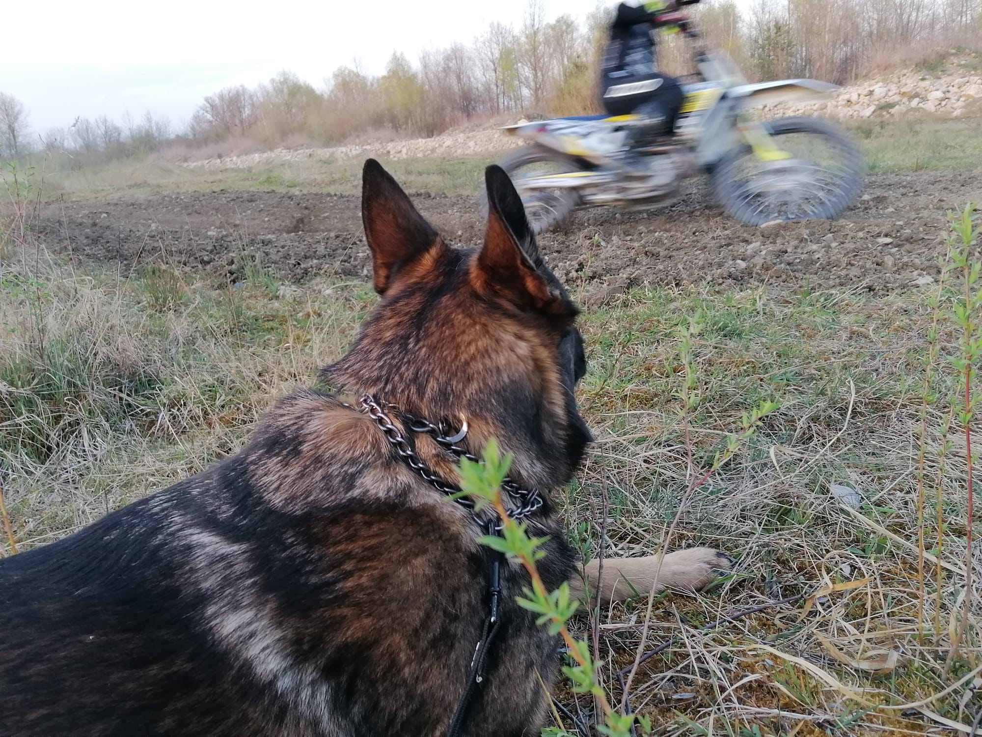 motokros