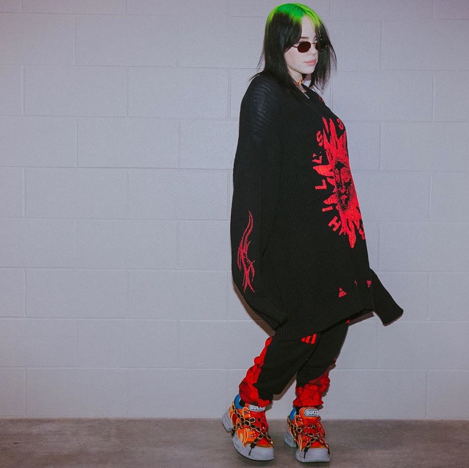 Billie Eilish je že zelo mlada ustvarila kar odmevno glasbeno kariero