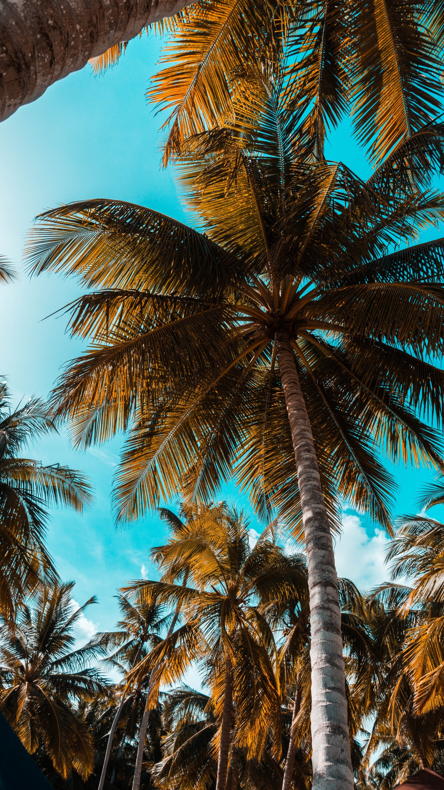 Karibi so priljubljena destinacija za dopustnike z vsega sveta