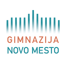 Srečanje novomeških gimnazijcev z evropsko poslanko Ireno Jovevo v sklopu projekta Evrošola