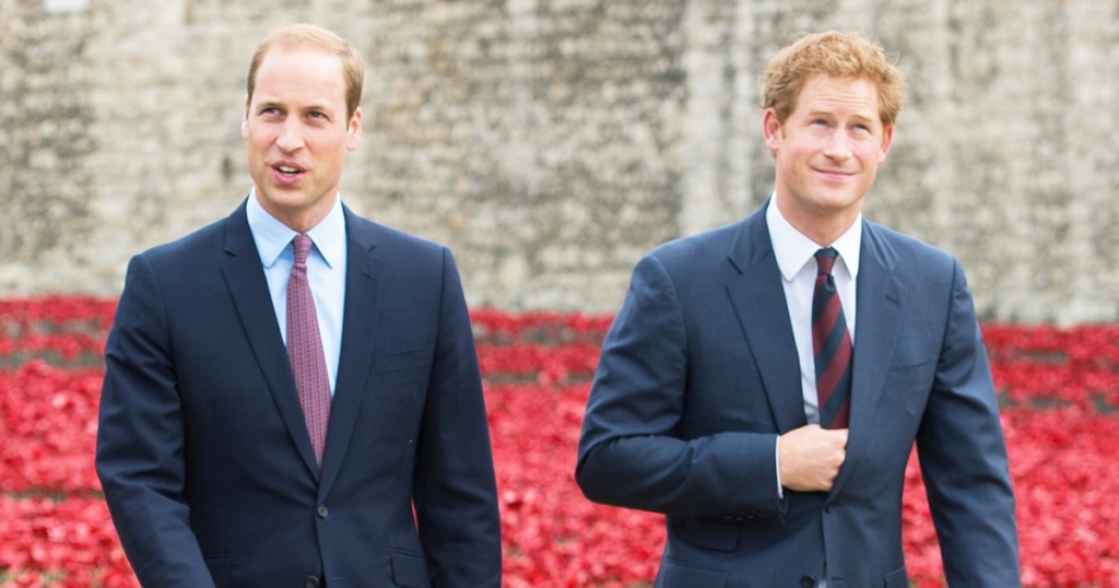 Harry in William obžalujeta: zadnji telefonski pogovor z mamo Diano.