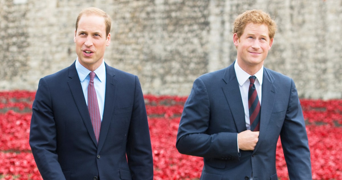 Harry in William obžalujeta: zadnji telefonski pogovor z mamo Diano.