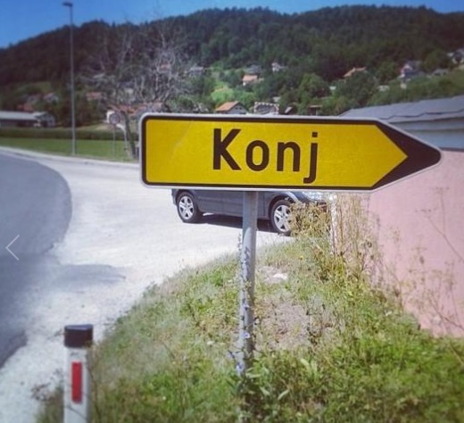 konj