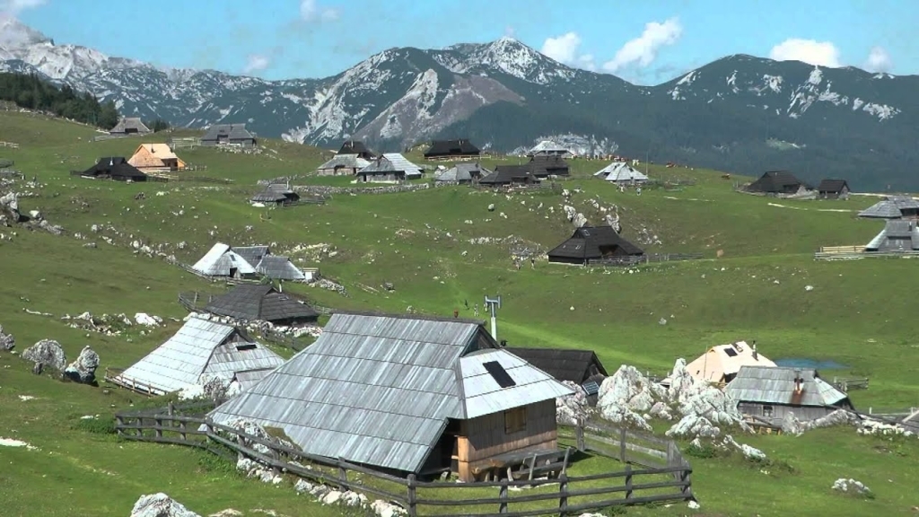Na Veliki Planini zakonca pojedla strupeno gobo