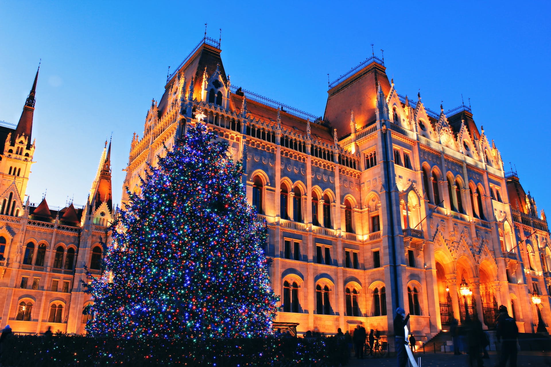 pexels-bojána-noémi-molnár-6430090 - NaDlani.si