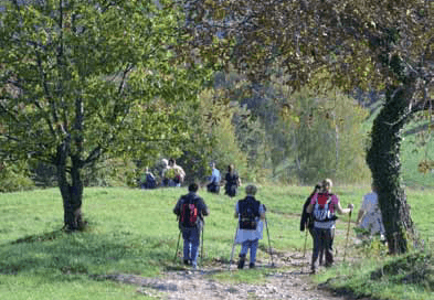 Občina Trebnje vabi: Zorčev pohod