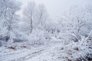 Vremenski pojav je povzročil zmedo: se vrača ledena zima, kakršne že dolgo nismo doživeli?