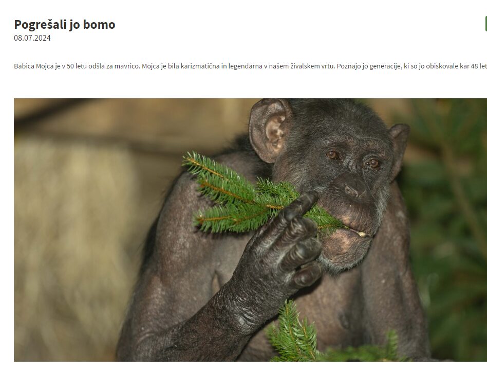 Poslovila se je Mojca, najstarejša prebivalka ZOO Ljubljana