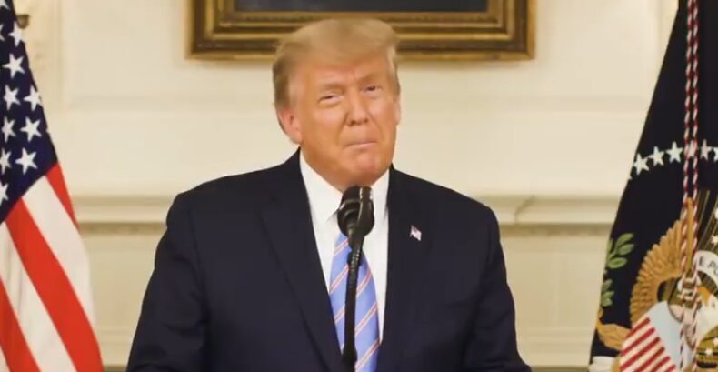 Donald Trump naj bi za plastične operacije zapravil trikrat več kot Melania