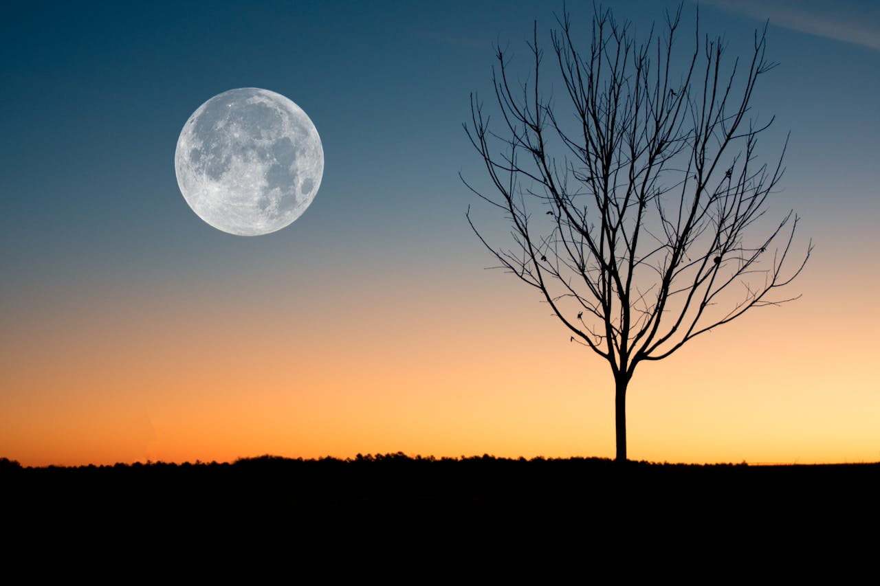 Oddaljevanje Lune bi lahko podaljšalo dneve na 25 ur
