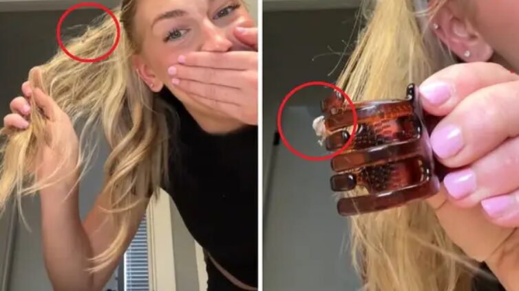 Ne boste verjeli, kaj je našla zapleteno v laseh (VIDEO)