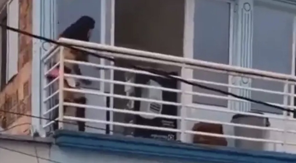 To morate videti: Ljubica beži pred ženo – njena rešitev vas bo nasmejala!