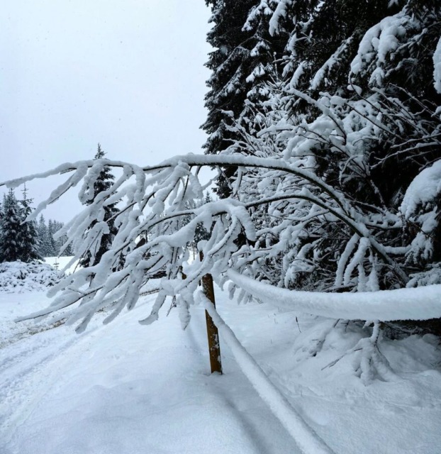 Pokljuka-sneg-vir Neurje.si - NaDlani.si