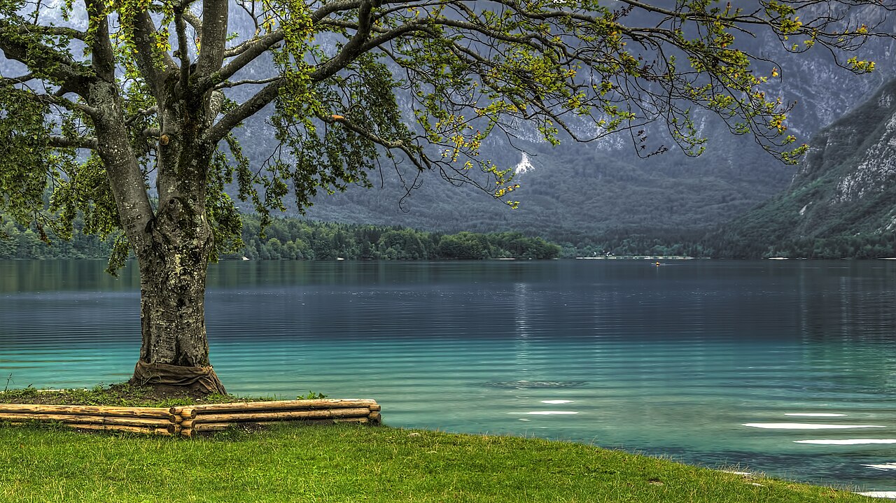 Bohinj stopa po poti Bleda