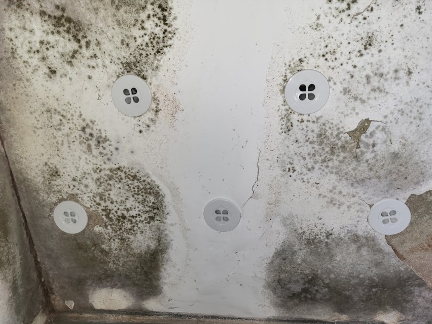 posledice-rešitev-kapilarna-vlaga-plesen - NaDlani.si