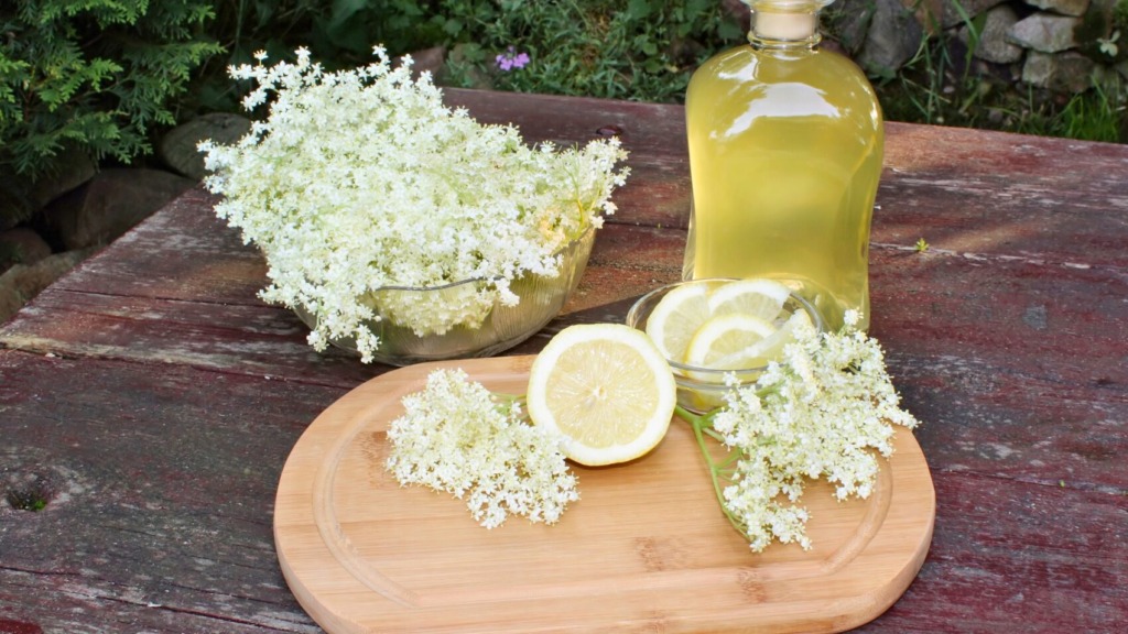 Star recept za bezgov sirup! Pomaga pri prehladu, kašlju, alergijah in še 5. drugih težavah