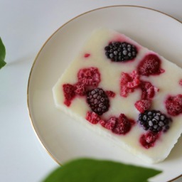 jogurtove-ploscice-2 - NaDlani.si Foto: Jogurtove ploščice Vir: Canva