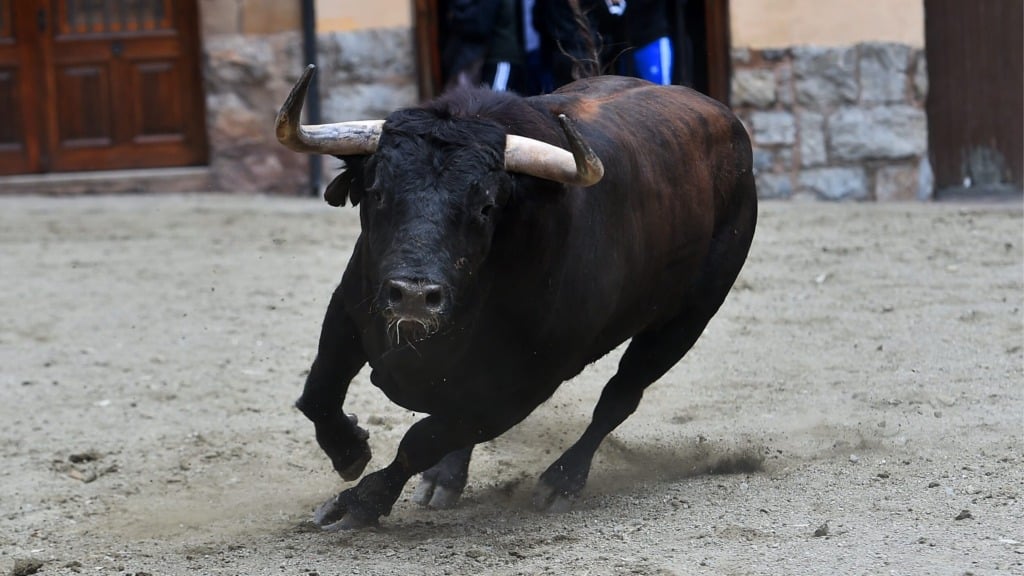 Foto: Bik Vir: Canva