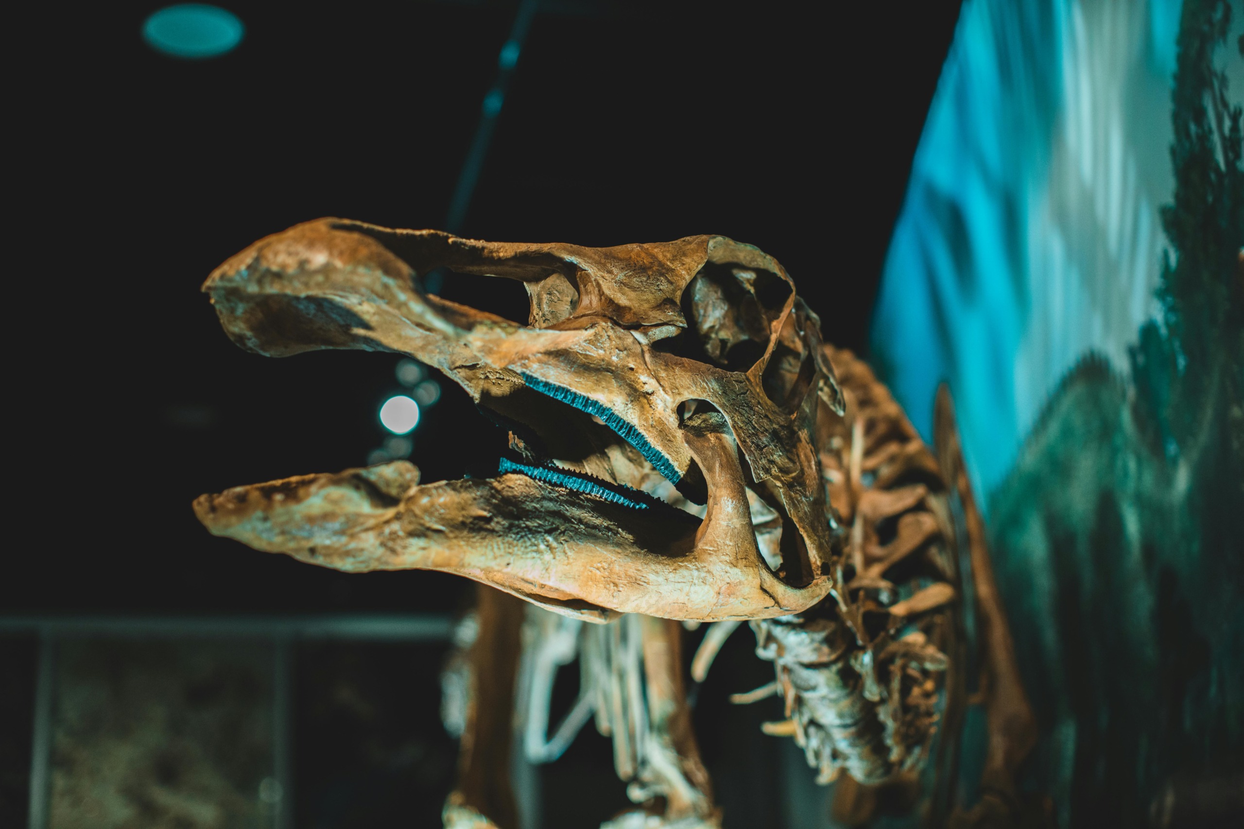 Dinozaver z jadrom na hrbtu – znanstveniki potrdili novo vrsto