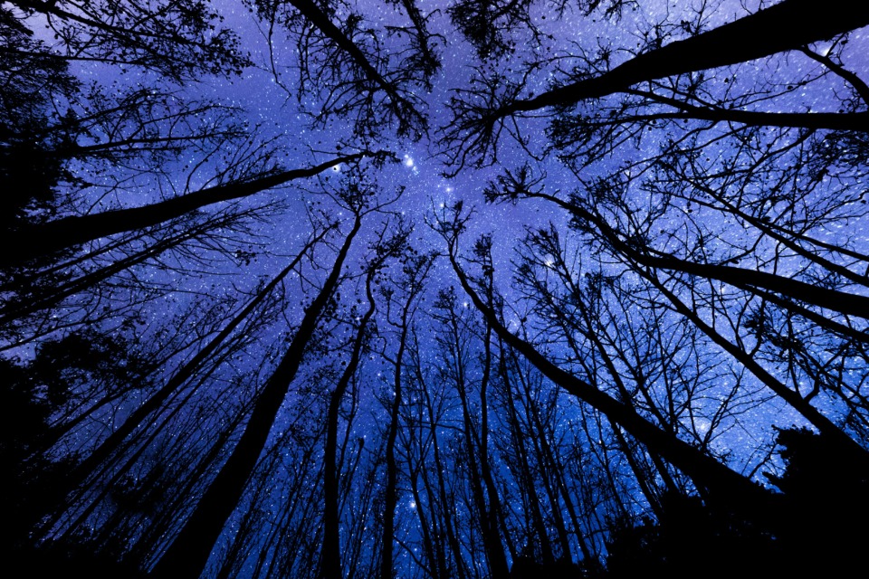 Horoskop za 10. april: zadnja četrt in trezen preklop