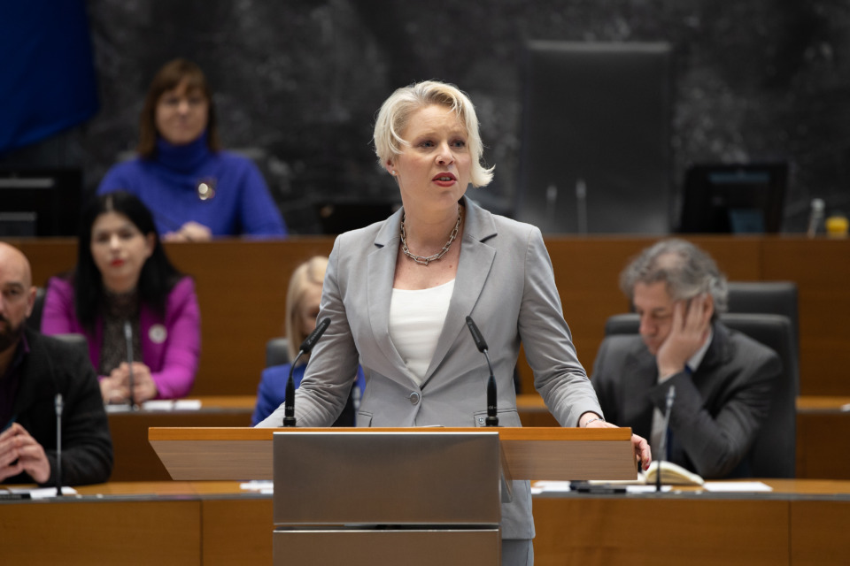 Slovenščina v parlamentu razkriva tako prednosti kot pomanjkljivosti govora naših politikov.
