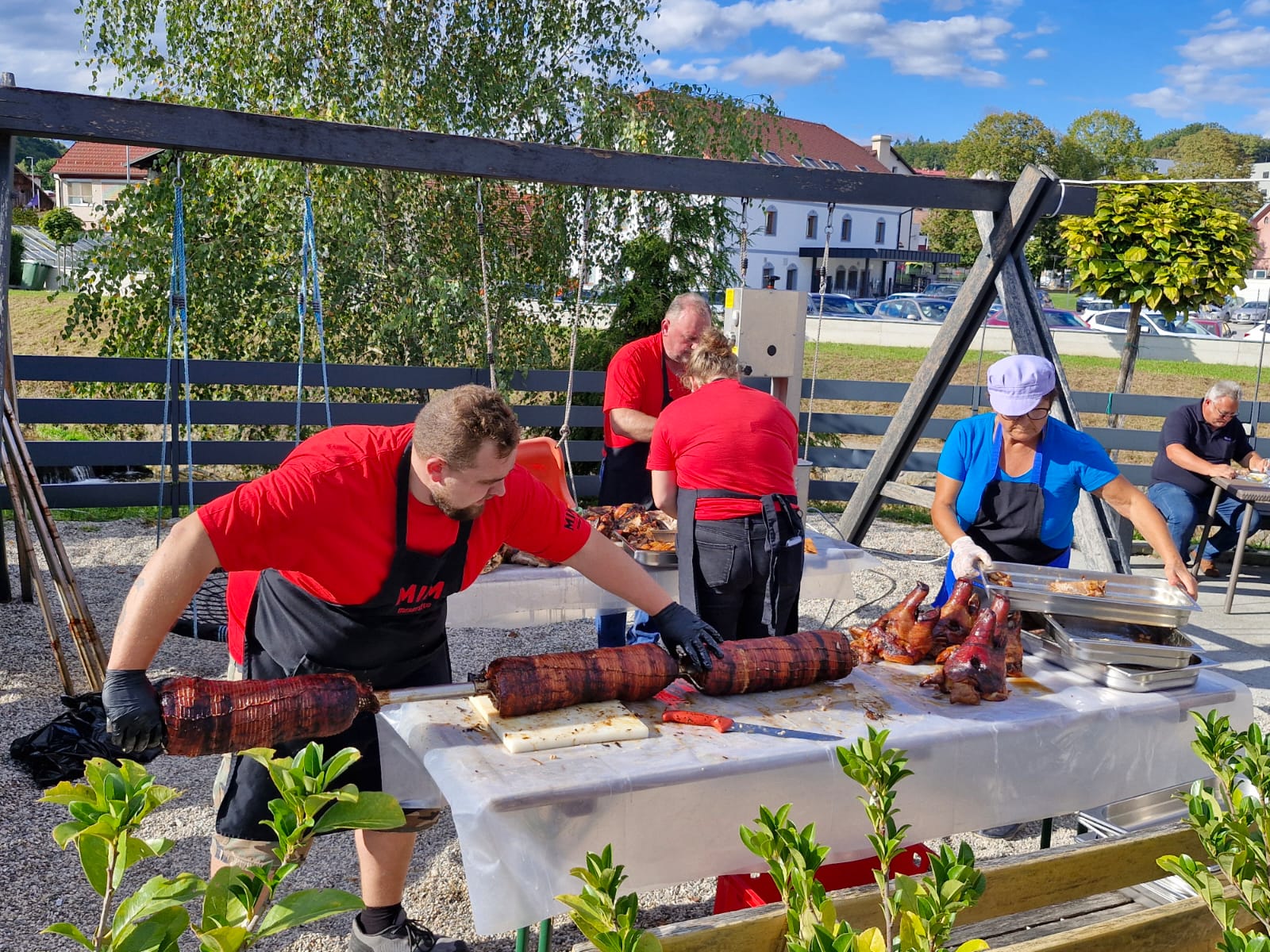 Foto: Odojek v občini Mirna Vir: Osebni arhiv