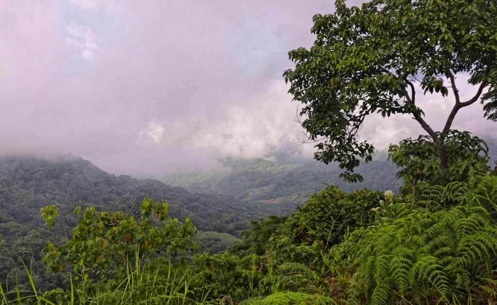 amazon - NaDlani.si