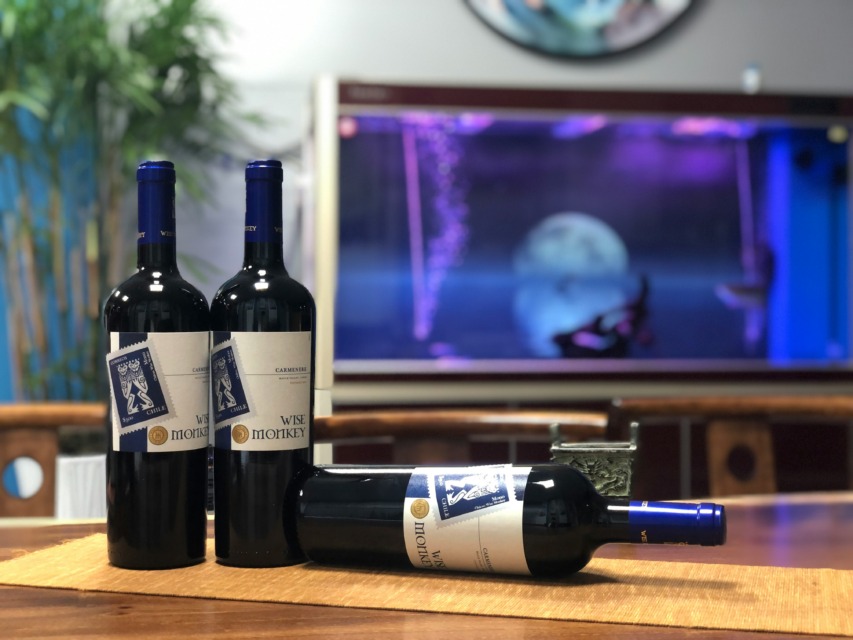 Dražba vin za pomoč šempetrski bolnišnici