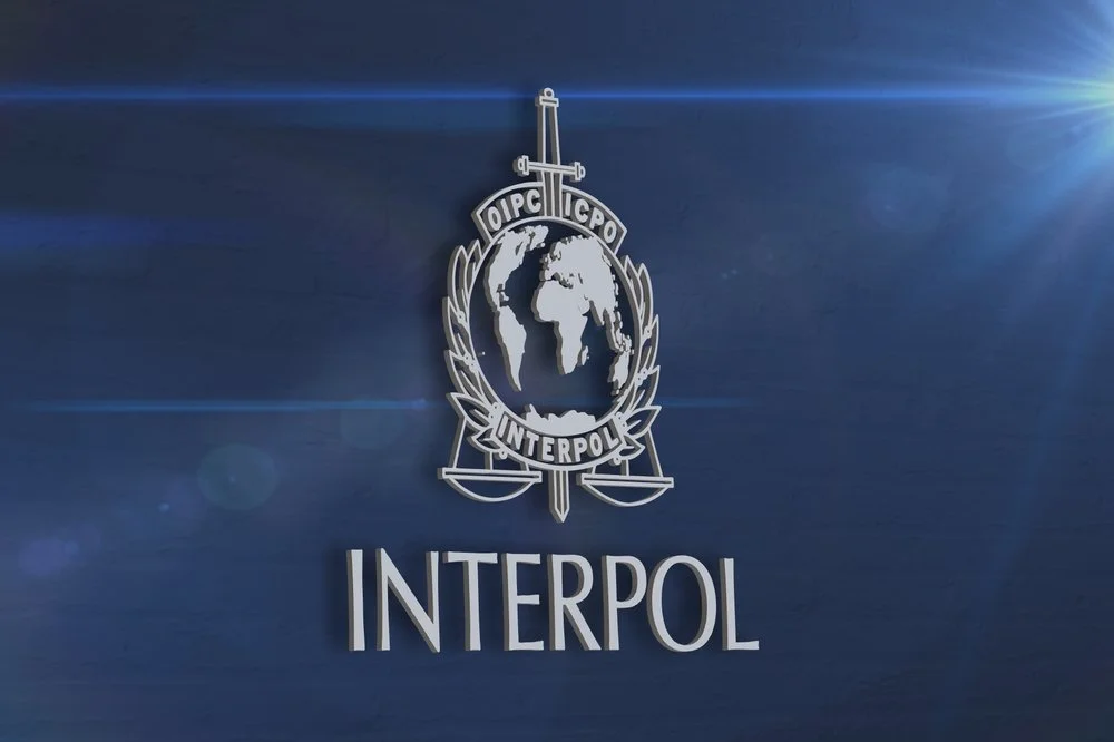 Interpol; vir: zajem slike/Facebook