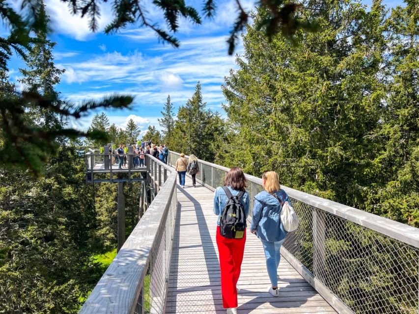 Izlet-z-otroci-pot-med-krošnjami